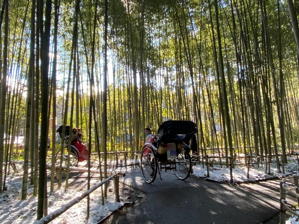 5 Stunning Places to Visit in Japan at Least Once img 9411