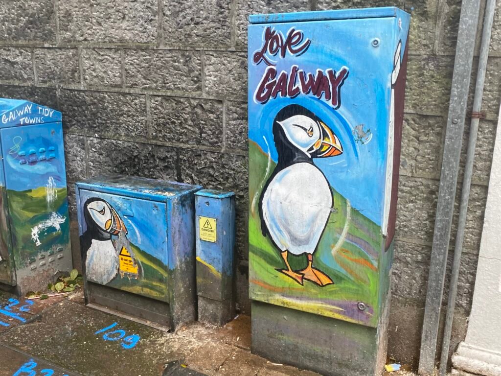 Galway: A City of Books, Bakeries, and a Little Local Pride img 0441